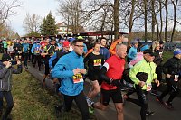 Bild: 42. Albert-Kuntz Lauf