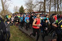 Bild: 42. Albert-Kuntz Lauf