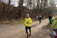 Bild: 42. Albert-Kuntz Lauf