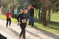 Bild: 42. Albert-Kuntz Lauf
