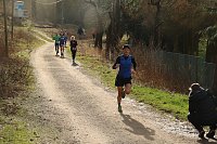 Bild: 42. Albert-Kuntz Lauf
