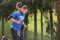 Bild: 42. Albert-Kuntz Lauf