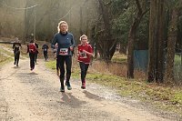 Bild: 42. Albert-Kuntz Lauf