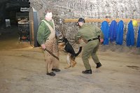 Bild: Salzstaub gesch&uuml;ffelt