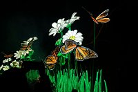 Bild: Lichterwelten