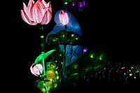 Bild: Lichterwelten