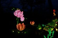 Bild: Lichterwelten