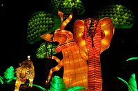Bild: Lichterwelten