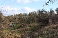 Bild: Arbeitseinsatz