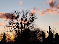 Bild: Abendstimmung auf dem Petersberg