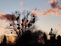 Bild: Abendstimmung auf dem Petersberg