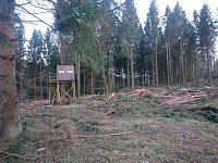 Bild: ...und still ruht der Wald...