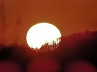 Sonnenuntergang Bild: Sonnenuntergang