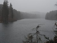 Der letzte Schnee und Vorboten des Frühlings Bild: Der letzte Schnee und Vorboten des Frühlings