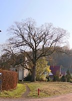 Im Ahornpark Ilfeld soll eine neue Sitzgruppe entstehen Bild: Im Ahornpark Ilfeld soll eine neue Sitzgruppe entstehen