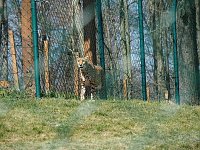 Bild: Besuch auf dem Possen