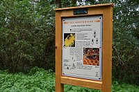 Auf dem Südharzer Bienenlehrpfad Bild: Auf dem Südharzer Bienenlehrpfad