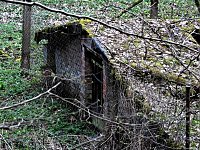 Bild: Unterwegs im Brandesbachtal