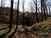 Bild: Unterwegs im Brandesbachtal