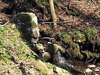 Bild: Unterwegs im Brandesbachtal