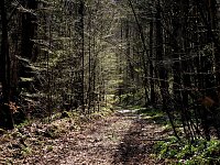 Bild: Unterwegs im Brandesbachtal