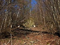 Bild: Unterwegs im Brandesbachtal