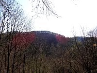 Bild: Unterwegs im Brandesbachtal