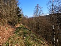 Bild: Unterwegs im Brandesbachtal
