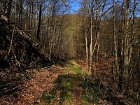 Bild: Unterwegs im Brandesbachtal