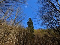 Bild: Unterwegs im Brandesbachtal