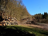 Bild: Unterwegs im Brandesbachtal