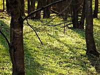 Bild: Unterwegs im Brandesbachtal