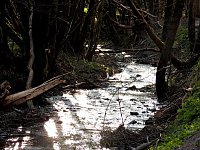 Bild: Unterwegs im Brandesbachtal