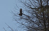 Bild: Unterwegs im Brandesbachtal