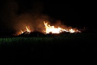 Bild: Feuer