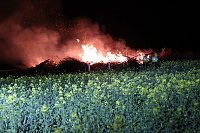 Bild: Feuer