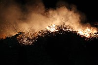 Bild: Feuer