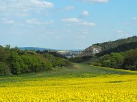 Bild: Wandern am Stausee Kelbra