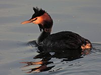 Bild: Peter Blei am Stausee Kelbra