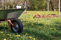 Bild: Obstb&auml;ume in Werna gepflanzt