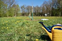 Bild: Obstb&auml;ume in Werna gepflanzt
