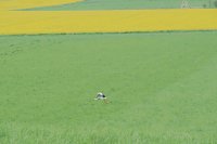 Bild: Unterwegs bei Auleben
