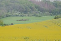 Bild: Unterwegs bei Auleben