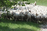 Bild: Unterwegs bei Auleben