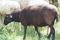 Bild: Unterwegs bei Auleben