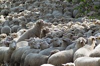 Bild: Unterwegs bei Auleben