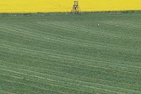 Bild: Unterwegs bei Auleben