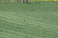 Bild: Unterwegs bei Auleben