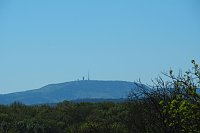 Auf dem Baumkronenpfad Bild: Auf dem Baumkronenpfad
