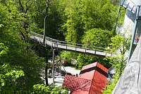 Auf dem Baumkronenpfad Bild: Auf dem Baumkronenpfad